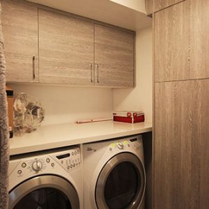  Laundry Room Renovation European Flat Panel Cabinets And Quartz Counter Top North York