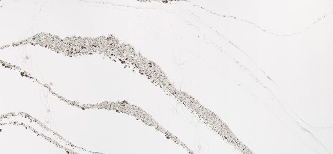 Cambria Annica slab