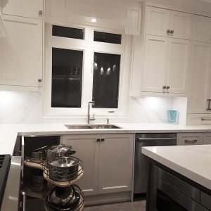 Corner pull out Heavy duty European brand double stacked kidny shape. Markham